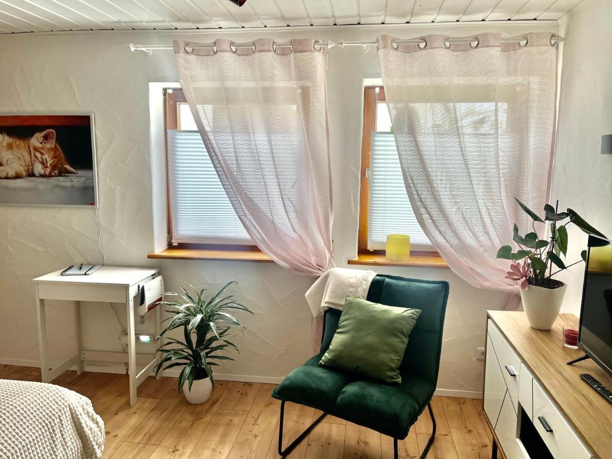 Apartment Balingen City Εξωτερικό φωτογραφία