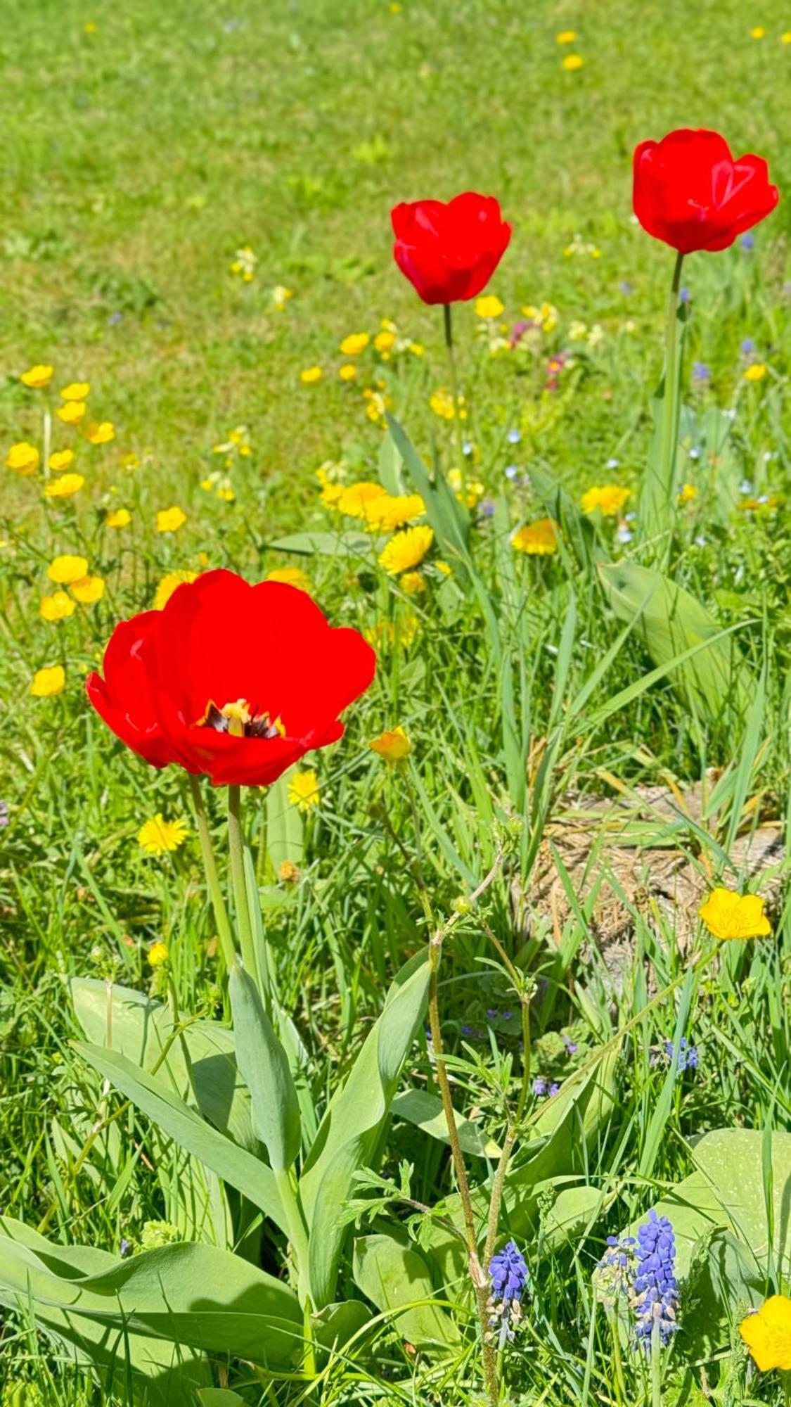 Apartment Balingen City Εξωτερικό φωτογραφία